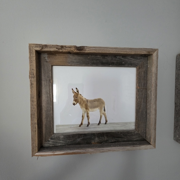 Restoration Hardware Rare Nursery Baby Animals - Picture 8 of 11